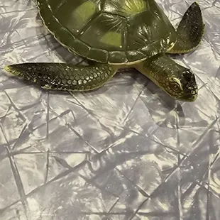 Turtle table marker for our dine in order