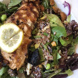 Grilled Salmon Salad