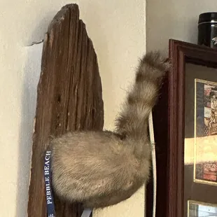 a stuffed animal hanging on a wall