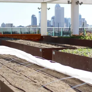 The Sky Farm in early spring