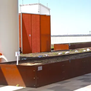 Some planters were still bare