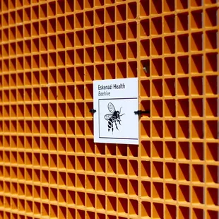 They have a beehive here on the rooftop!