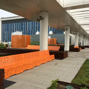 Lots of long benches to sit and enjoy the Sky Farm