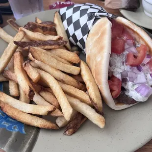 Gyro sandwich and fries