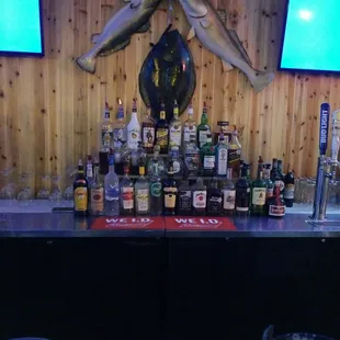 Cute new place that has only been open a month or so. Landshark is on special for Shark Week!