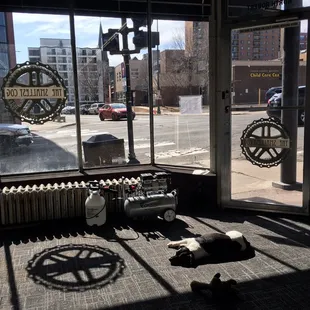 The Smallest Cog Bicycle Shop