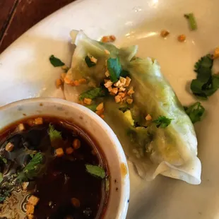 Veggie Dumpling Potstickers