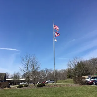 the american flag