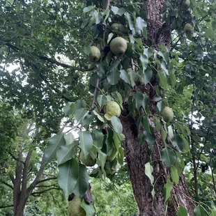 soups and chowder, interior