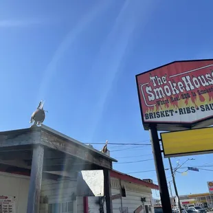 Brisket and Rib plate