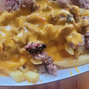 brisket fries