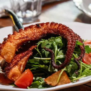 Crispy Octopus