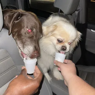 Treats for the pups