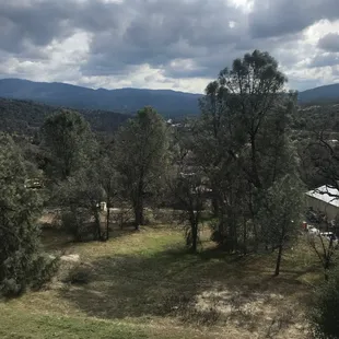 Deck view