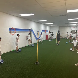 Beginners Ball Mastery