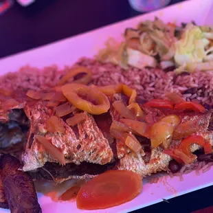 Calypso Red Snapper