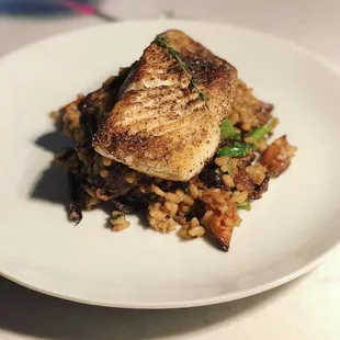 Risotto
