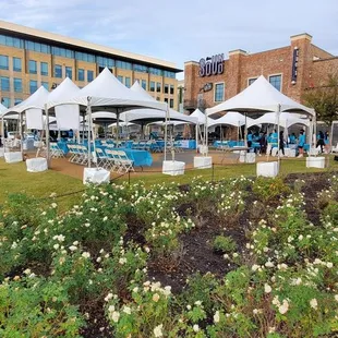 Pulmonary Fibrosis Walk