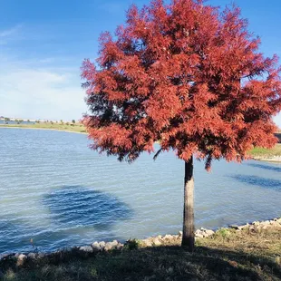 Sound of Cypress Waters, Dallas, TX