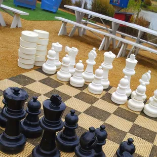 Life size chess board