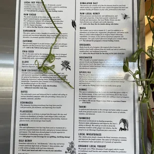 Information about their ingredients
