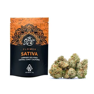 Blue Dream. Weed Dispensary, The Source