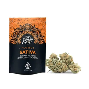 Dispensary Near Me Bakersfield.