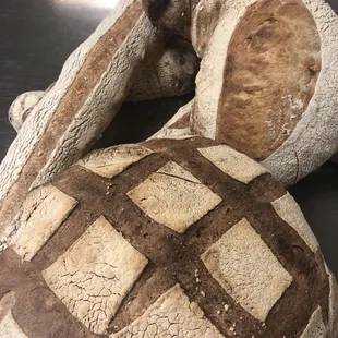 Different shapes of sourdough