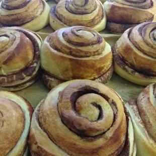 Cinnamon rolls before icing