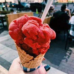 Raspberry sorbet