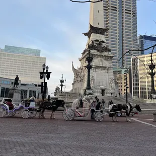 a horse drawn carriage