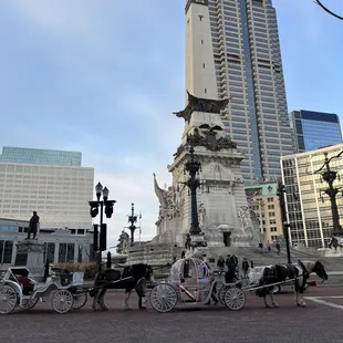 a horse drawn carriage