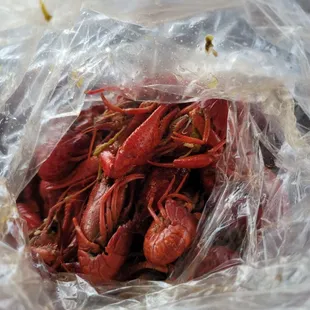 Crawfish