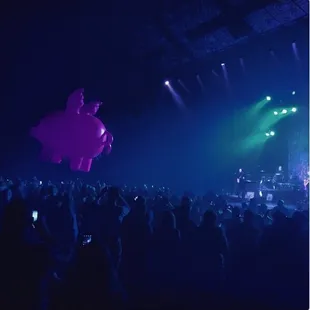 Pink Floyd Experience