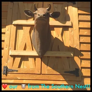 The scale, the finish &amp; the quality is perfect!!