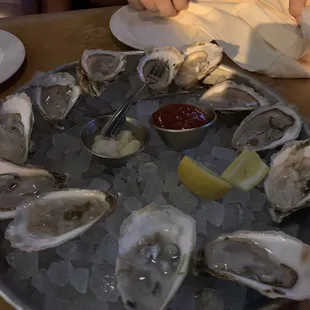 Oysters