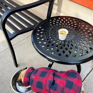 Outside dining at its finest. My espresso drink on top, him sampling their water bowl below.