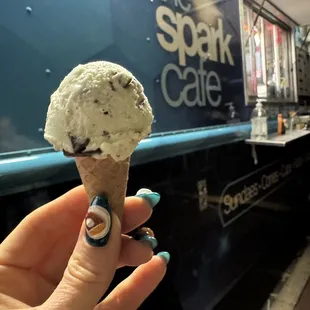 Mint Chocolate Chip Cutie Cone