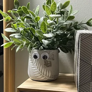 Bathroom plant!