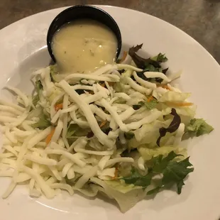 Tossed salad (bagged lettuce w/mozzarella thrown on top)