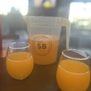 Mimosa Pitcher!
