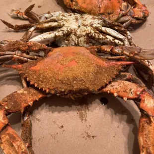 two crabs on a table