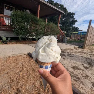 Coconut ice cream