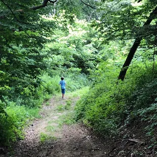 Trail you can climb down to