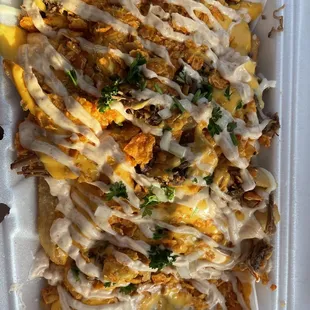Loaded Turbo Fries