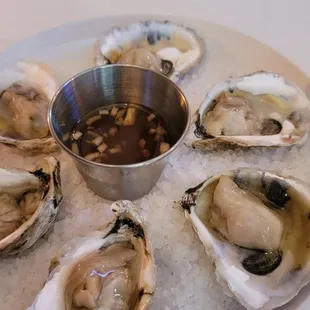 Raw oysters 9/10