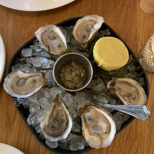 Oysters , East Coast