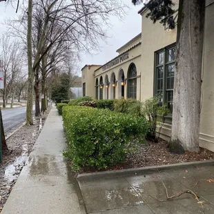 Walking up to Standard Pour.