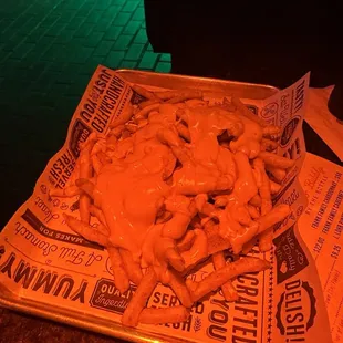 Cheese fries