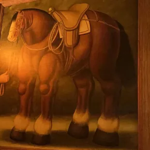 Y'all. This damn horse. I'm not objectifying horses, cause that's weird. But god DAMN.